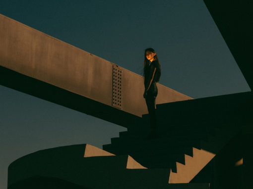 Les meilleurs sites d’images libres de droit ? Voici notre Top 10 !